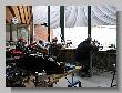 68_Benchrest_BR50_Ahaus_2008.jpg