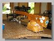 35_Benchrest_BM.jpg