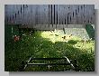 01_Benchrest-Hoehn-2009.jpg