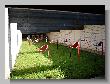 08_Benchrest-Hoehn-2009.jpg