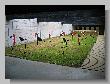 IMG_5550.JPG