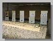 IMG_5551.JPG