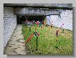 IMG_5552.JPG