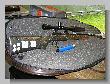 IMG_5569.JPG
