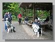 IMG_5598.JPG