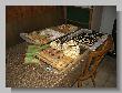 054_Benchrest-BP-Freyung.jpg