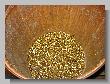 063_Benchrest-BP-Freyung.jpg
