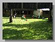 049_Benchrest_BP.jpg