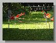 059_Benchrest_BP.jpg