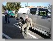 085_Benchrest_BP.jpg