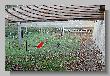 015_Benchrest-BR50-Cup-Hamminkeln-RWS-2018.JPG