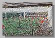 026_Benchrest-BR50-Cup-Hamminkeln-RWS-2018.JPG