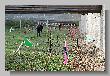 145_Benchrest-BR50-Cup-Hamminkeln-RWS-2018.JPG