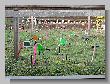 172_Benchrest-BR50-Cup-Hamminkeln-RWS-2018.JPG