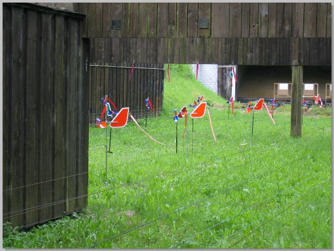 064_Benchrest-Hoehn-2009.jpg