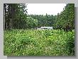 011_Benchrest-Hoehn-2009.jpg