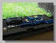 052_Benchrest-Hoehn-2009.jpg