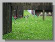 062_Benchrest-Hoehn-2009.jpg