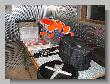 070_Benchrest-Hoehn-2009.jpg