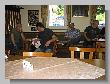 086_Benchrest-Hoehn-2009.jpg