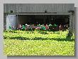 31_BR50_Benchrest-DM-2009.jpg