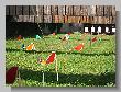 42_BR50_Benchrest-DM-2009.jpg