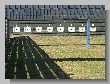 0004_Benchrest-EM-WC_2013-BR50.JPG