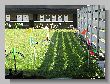 0035_Benchrest-EM-WC_2013-BR50.JPG