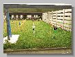 0318_Benchrest-EM-WC_2013-BR50.JPG