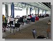 0387_Benchrest-EM-WC_2013-BR50.JPG