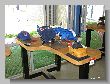 0457_Benchrest-EM-WC_2013-BR50.JPG