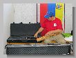 0558_Benchrest-EM-WC_2013-BR50.JPG
