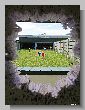 0662_Benchrest-EM-WC_2013-BR50.JPG