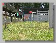 0675_Benchrest-EM-WC_2013-BR50.JPG