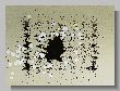 0676_Benchrest-EM-WC_2013-BR50.JPG