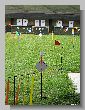 0791_Benchrest-EM-WC_2013-BR50.JPG