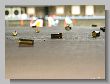 0958_Benchrest-EM-WC_2013-BR50.JPG