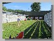1120_Benchrest-EM-WC_2013-BR50.JPG
