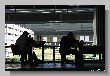 1131_Benchrest-EM-WC_2013-BR50.JPG