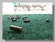 1139_Benchrest-EM-WC_2013-BR50.JPG