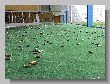 1141_Benchrest-EM-WC_2013-BR50.JPG