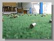 1142_Benchrest-EM-WC_2013-BR50.JPG