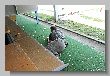 1149_Benchrest-EM-WC_2013-BR50.JPG