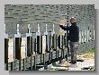 1347_Benchrest-EM-WC_2013-BR50.JPG
