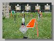1378_Benchrest-EM-WC_2013-BR50.JPG