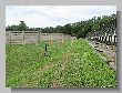1407_Benchrest-EM-WC_2013-BR50.JPG