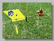 1408_Benchrest-EM-WC_2013-BR50.JPG
