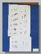 1445_Benchrest-EM-WC_2013-BR50.JPG