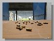 1566_Benchrest-EM-WC_2013-BR50.JPG