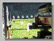 1829_Benchrest-EM-WC_2013-BR50.JPG
